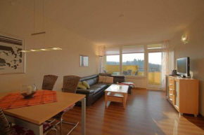 Apartment 347 Hohegeiß